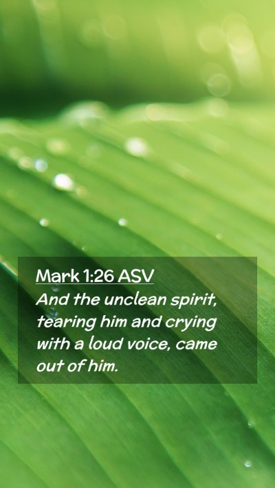 Picture 02 - Mark 1:26 ASV Mobile Phone Wallpaper - And the unclean spirit, tearing him and crying - Mobile Bible Verse Wallpaper