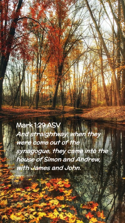 Picture 02 - Mark 1:29 ASV Mobile Phone Wallpaper - And straightway, when they were come out of the - Mobile Bible Verse Wallpaper