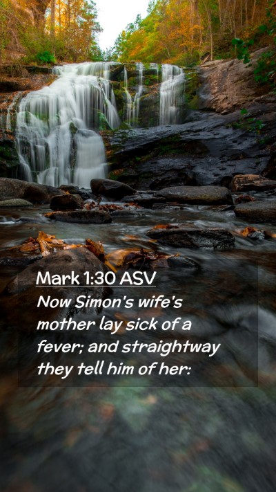 Picture 02 - Mark 1:30 ASV Mobile Phone Wallpaper - Now Simon's wife's mother lay sick of a fever; - Mobile Bible Verse Wallpaper