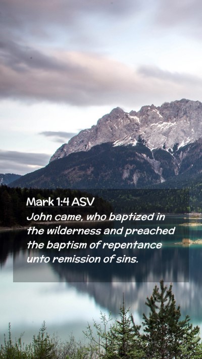 Picture 02 - Mark 1:4 ASV Mobile Phone Wallpaper - John came, who baptized in the wilderness and - Mobile Bible Verse Wallpaper