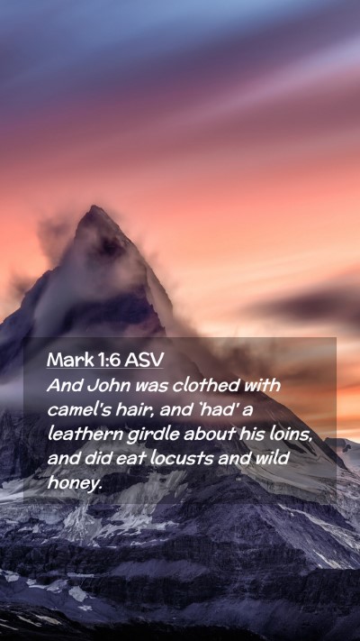 Picture 02 - Mark 1:6 ASV Mobile Phone Wallpaper - And John was clothed with camel's hair, and `had' - Mobile Bible Verse Wallpaper