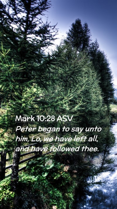 Picture 02 - Mark 10:28 ASV Mobile Phone Wallpaper - Peter began to say unto him, Lo, we have left - Mobile Bible Verse Wallpaper
