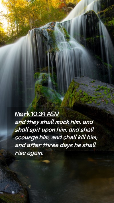 Picture 02 - Mark 10:34 ASV Mobile Phone Wallpaper - and they shall mock him, and shall spit upon him, - Mobile Bible Verse Wallpaper