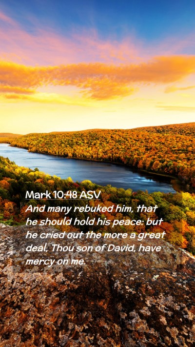 Picture 02 - Mark 10:48 ASV Mobile Phone Wallpaper - And many rebuked him, that he should hold his - Mobile Bible Verse Wallpaper