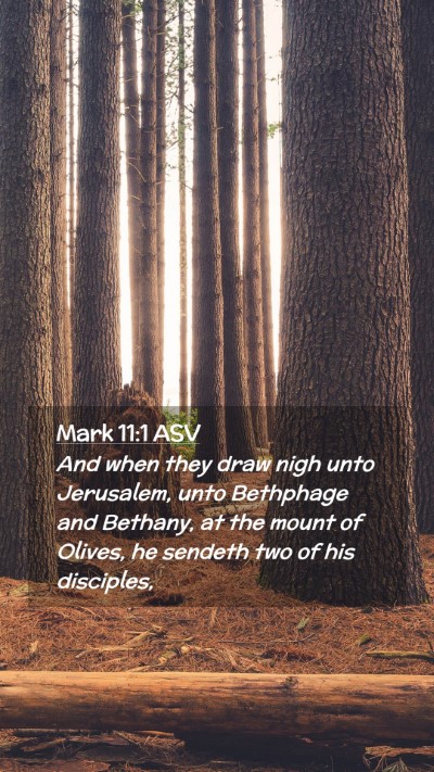 Picture 02 - Mark 11:1 ASV Mobile Phone Wallpaper - And when they draw nigh unto Jerusalem, unto - Mobile Bible Verse Wallpaper