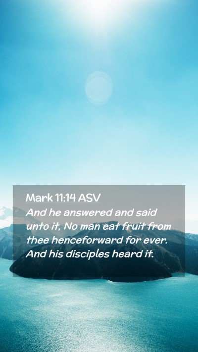 Picture 02 - Mark 11:14 ASV Mobile Phone Wallpaper - And he answered and said unto it, No man eat - Mobile Bible Verse Wallpaper