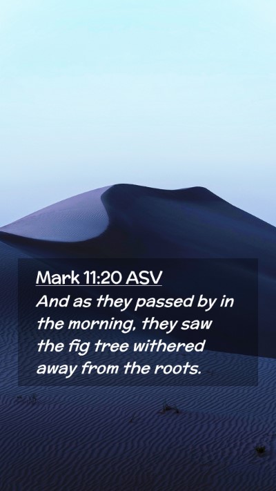 Picture 02 - Mark 11:20 ASV Mobile Phone Wallpaper - And as they passed by in the morning, they saw - Mobile Bible Verse Wallpaper