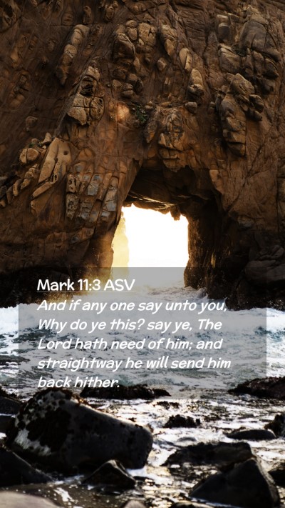 Picture 02 - Mark 11:3 ASV Mobile Phone Wallpaper - And if any one say unto you, Why do ye this? say - Mobile Bible Verse Wallpaper