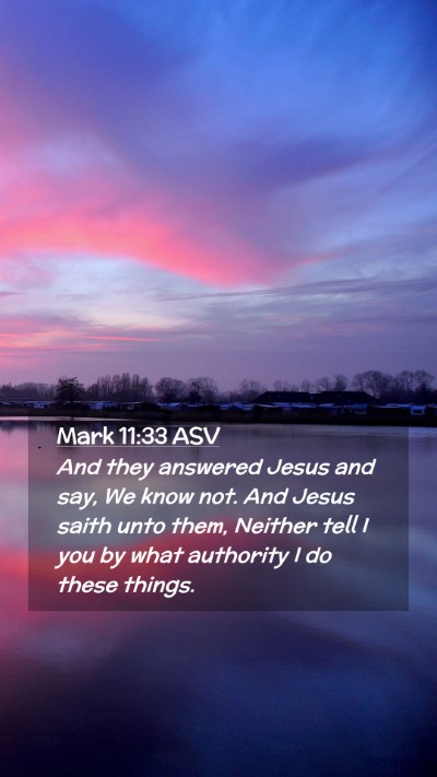 Picture 02 - Mark 11:33 ASV Mobile Phone Wallpaper - And they answered Jesus and say, We know not. And - Mobile Bible Verse Wallpaper