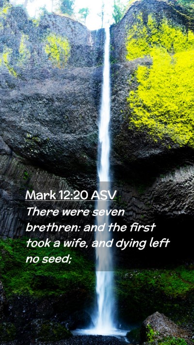 Picture 02 - Mark 12:20 ASV Mobile Phone Wallpaper - There were seven brethren: and the first took a - Mobile Bible Verse Wallpaper