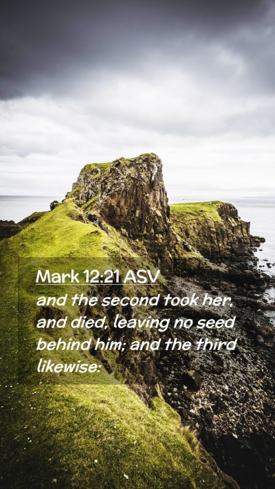 Picture 02 - Mark 12:21 ASV Mobile Phone Wallpaper - and the second took her, and died, leaving no - Mobile Bible Verse Wallpaper