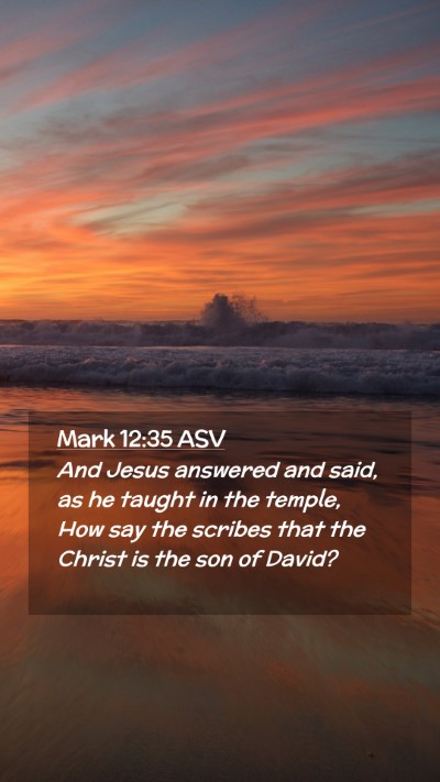Picture 02 - Mark 12:35 ASV Mobile Phone Wallpaper - And Jesus answered and said, as he taught in the - Mobile Bible Verse Wallpaper