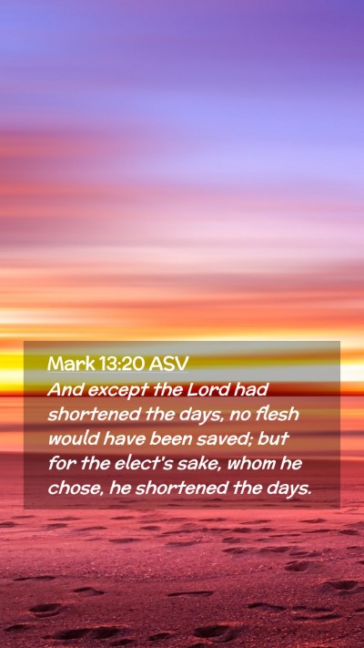 Picture 02 - Mark 13:20 ASV Mobile Phone Wallpaper - And except the Lord had shortened the days, no - Mobile Bible Verse Wallpaper