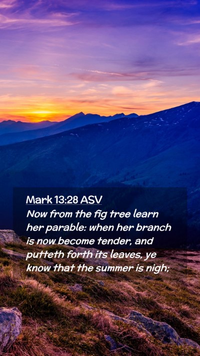 Picture 02 - Mark 13:28 ASV Mobile Phone Wallpaper - Now from the fig tree learn her parable: when her - Mobile Bible Verse Wallpaper