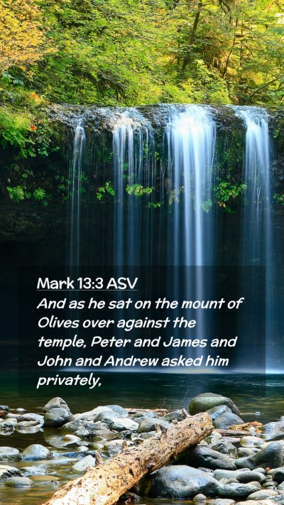 Picture 02 - Mark 13:3 ASV Mobile Phone Wallpaper - And as he sat on the mount of Olives over against - Mobile Bible Verse Wallpaper