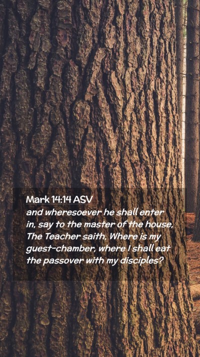 Picture 02 - Mark 14:14 ASV Mobile Phone Wallpaper - and wheresoever he shall enter in, say to the - Mobile Bible Verse Wallpaper