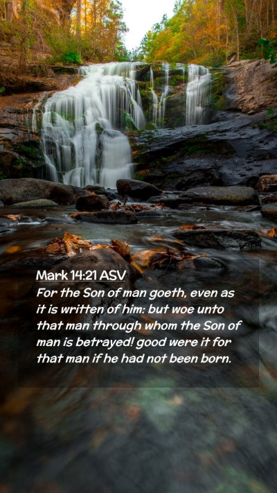 Picture 02 - Mark 14:21 ASV Mobile Phone Wallpaper - For the Son of man goeth, even as it is written - Mobile Bible Verse Wallpaper