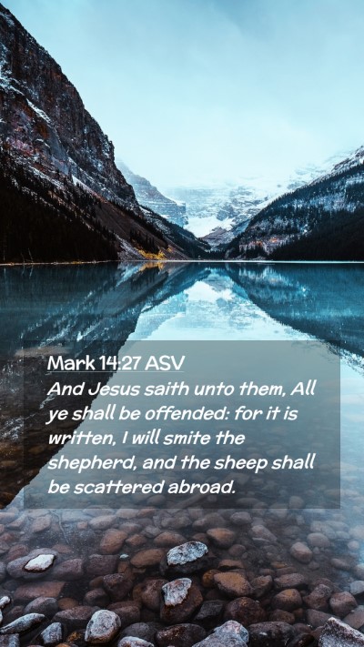 Picture 02 - Mark 14:27 ASV Mobile Phone Wallpaper - And Jesus saith unto them, All ye shall be - Mobile Bible Verse Wallpaper