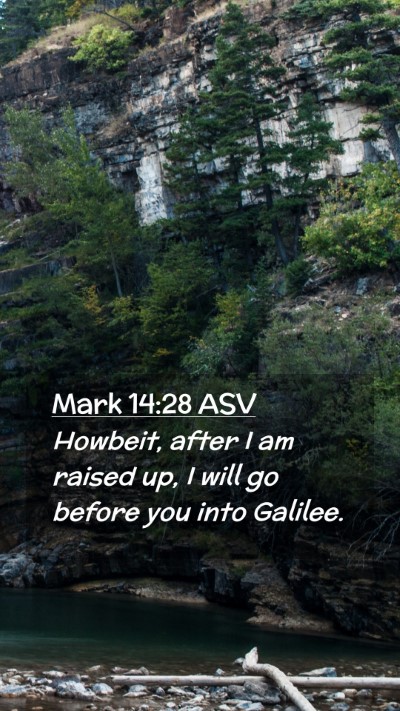 Picture 02 - Mark 14:28 ASV Mobile Phone Wallpaper - Howbeit, after I am raised up, I will go before - Mobile Bible Verse Wallpaper