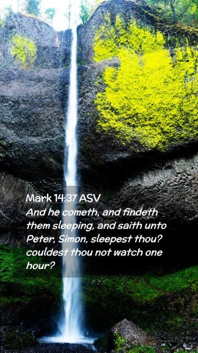 Picture 02 - Mark 14:37 ASV Mobile Phone Wallpaper - And he cometh, and findeth them sleeping, and - Mobile Bible Verse Wallpaper