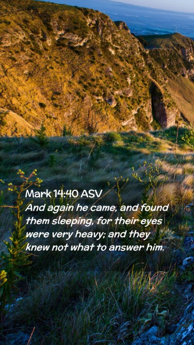 Picture 02 - Mark 14:40 ASV Mobile Phone Wallpaper - And again he came, and found them sleeping, for - Mobile Bible Verse Wallpaper