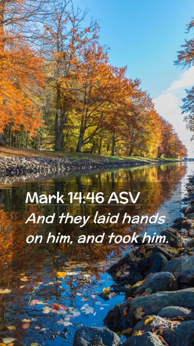 Picture 02 - Mark 14:46 ASV Mobile Phone Wallpaper - And they laid hands on him, and took - Mobile Bible Verse Wallpaper
