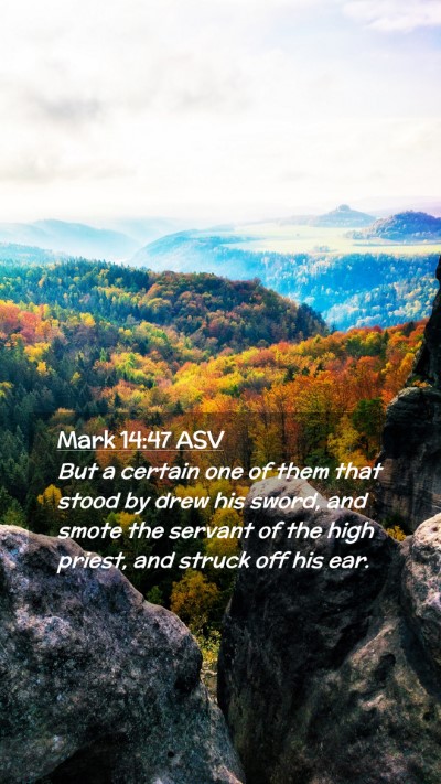 Picture 02 - Mark 14:47 ASV Mobile Phone Wallpaper - But a certain one of them that stood by drew his - Mobile Bible Verse Wallpaper