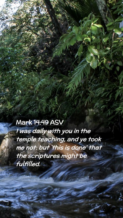 Picture 02 - Mark 14:49 ASV Mobile Phone Wallpaper - I was daily with you in the temple teaching, and - Mobile Bible Verse Wallpaper