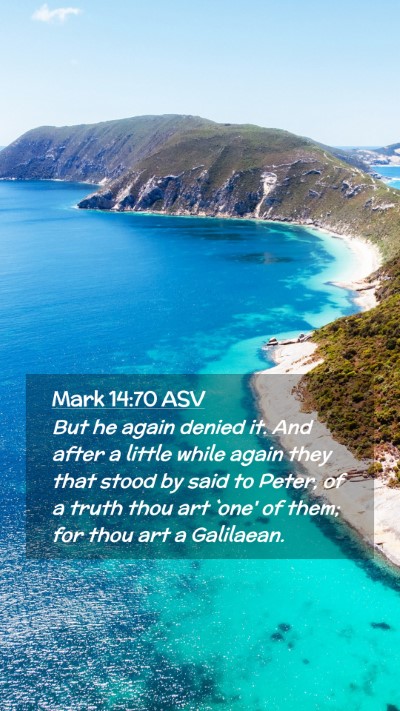 Picture 02 - Mark 14:70 ASV Mobile Phone Wallpaper - But he again denied it. And after a little while - Mobile Bible Verse Wallpaper