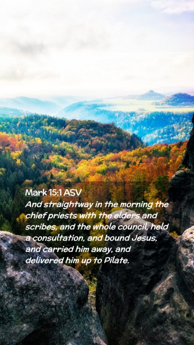 Picture 02 - Mark 15:1 ASV Mobile Phone Wallpaper - And straightway in the morning the chief priests - Mobile Bible Verse Wallpaper