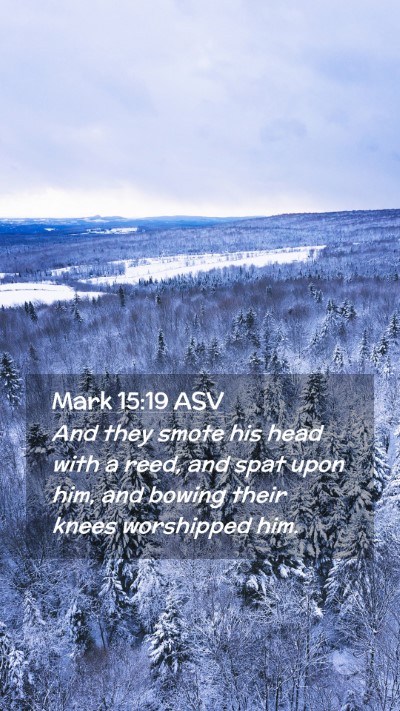 Picture 02 - Mark 15:19 ASV Mobile Phone Wallpaper - And they smote his head with a reed, and spat - Mobile Bible Verse Wallpaper