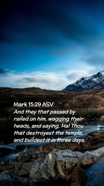 Picture 02 - Mark 15:29 ASV Mobile Phone Wallpaper - And they that passed by railed on him, wagging - Mobile Bible Verse Wallpaper