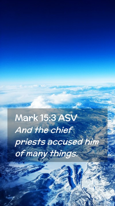 Picture 02 - Mark 15:3 ASV Mobile Phone Wallpaper - And the chief priests accused him of many - Mobile Bible Verse Wallpaper