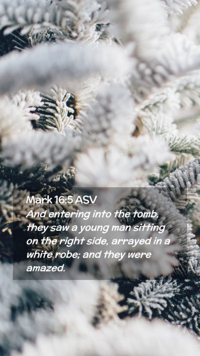 Picture 02 - Mark 16:5 ASV Mobile Phone Wallpaper - And entering into the tomb, they saw a young man - Mobile Bible Verse Wallpaper