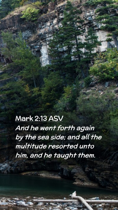 Picture 02 - Mark 2:13 ASV Mobile Phone Wallpaper - And he went forth again by the sea side; and all - Mobile Bible Verse Wallpaper
