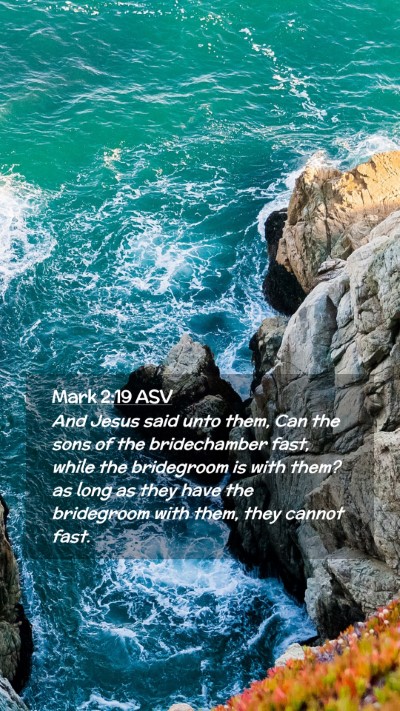 Picture 02 - Mark 2:19 ASV Mobile Phone Wallpaper - And Jesus said unto them, Can the sons of the - Mobile Bible Verse Wallpaper