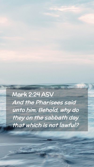 Picture 02 - Mark 2:24 ASV Mobile Phone Wallpaper - And the Pharisees said unto him, Behold, why do - Mobile Bible Verse Wallpaper