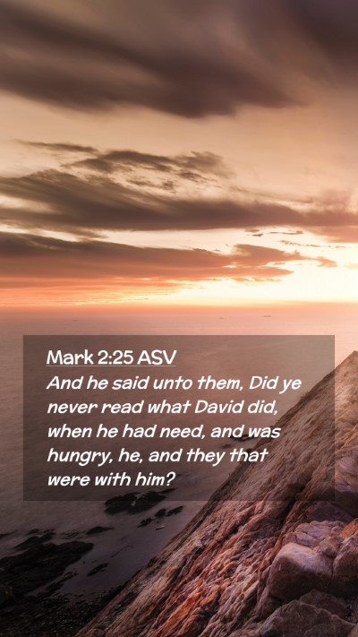 Picture 02 - Mark 2:25 ASV Mobile Phone Wallpaper - And he said unto them, Did ye never read what - Mobile Bible Verse Wallpaper