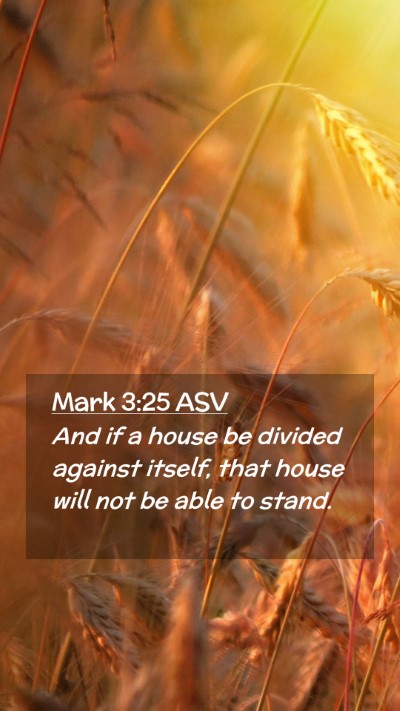 Picture 02 - Mark 3:25 ASV Mobile Phone Wallpaper - And if a house be divided against itself, that - Mobile Bible Verse Wallpaper