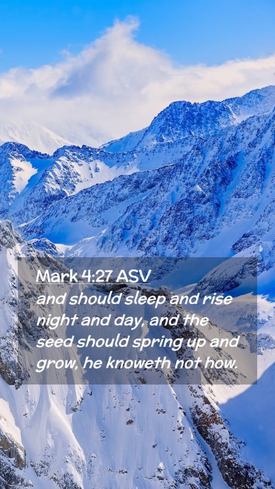 Picture 02 - Mark 4:27 ASV Mobile Phone Wallpaper - and should sleep and rise night and day, and the - Mobile Bible Verse Wallpaper