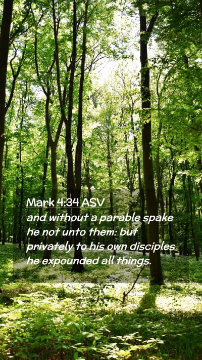 Picture 02 - Mark 4:34 ASV Mobile Phone Wallpaper - and without a parable spake he not unto them: but - Mobile Bible Verse Wallpaper