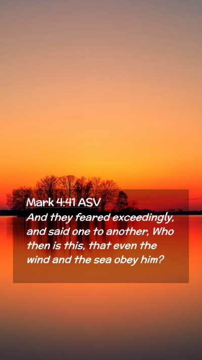 Picture 02 - Mark 4:41 ASV Mobile Phone Wallpaper - And they feared exceedingly, and said one to - Mobile Bible Verse Wallpaper