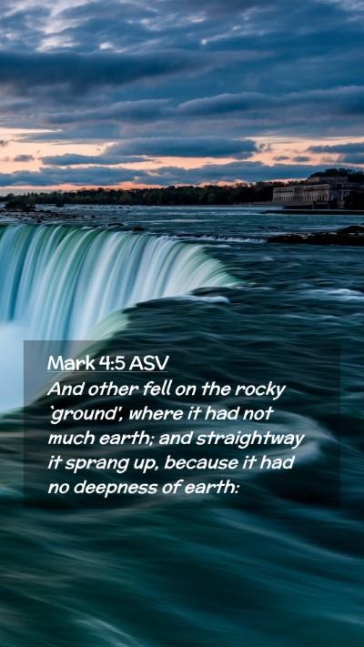 Picture 02 - Mark 4:5 ASV Mobile Phone Wallpaper - And other fell on the rocky `ground', where it - Mobile Bible Verse Wallpaper