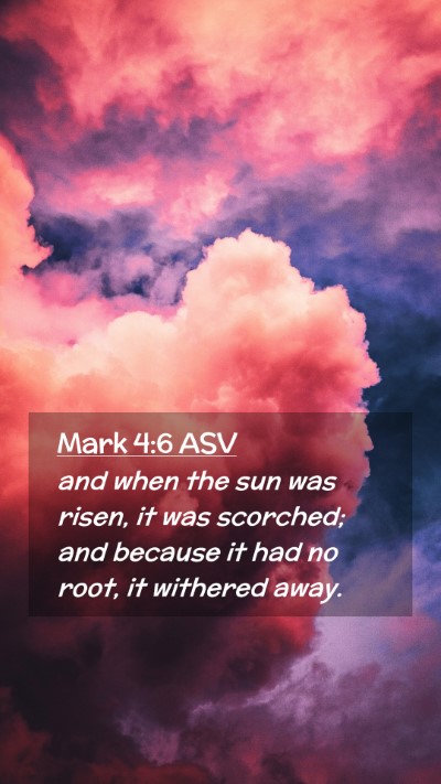 Picture 02 - Mark 4:6 ASV Mobile Phone Wallpaper - and when the sun was risen, it was scorched; and - Mobile Bible Verse Wallpaper