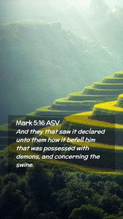 Picture 02 - Mark 5:16 ASV Mobile Phone Wallpaper - And they that saw it declared unto them how it - Mobile Bible Verse Wallpaper