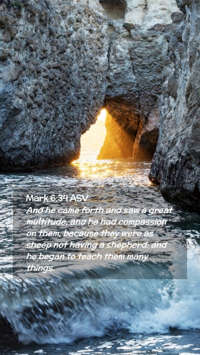 Picture 02 - Mark 6:34 ASV Mobile Phone Wallpaper - And he came forth and saw a great multitude, and - Mobile Bible Verse Wallpaper