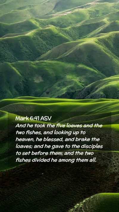 Picture 02 - Mark 6:41 ASV Mobile Phone Wallpaper - And he took the five loaves and the two fishes, - Mobile Bible Verse Wallpaper
