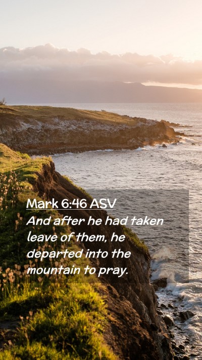 Picture 02 - Mark 6:46 ASV Mobile Phone Wallpaper - And after he had taken leave of them, he departed - Mobile Bible Verse Wallpaper