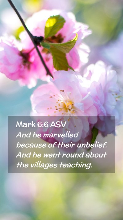 Picture 02 - Mark 6:6 ASV Mobile Phone Wallpaper - And he marvelled because of their unbelief. And - Mobile Bible Verse Wallpaper