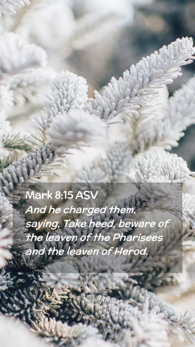 Picture 02 - Mark 8:15 ASV Mobile Phone Wallpaper - And he charged them, saying, Take heed, beware of - Mobile Bible Verse Wallpaper